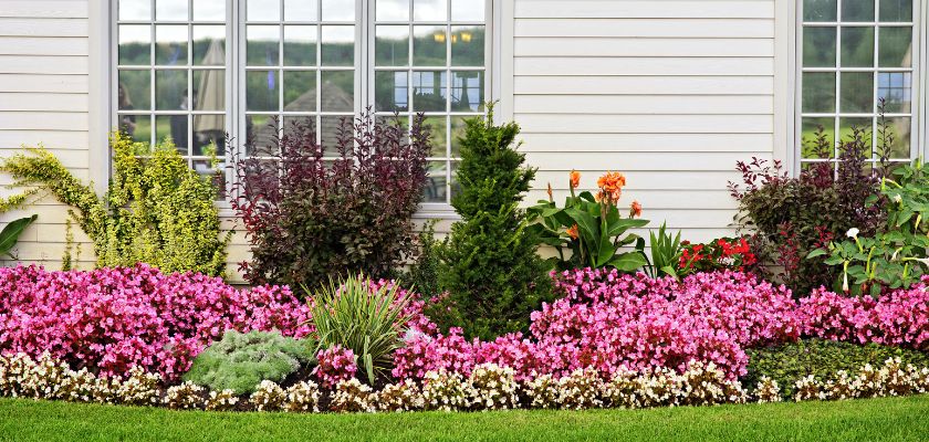 Enhancing Your Landscape with Professional Design Services