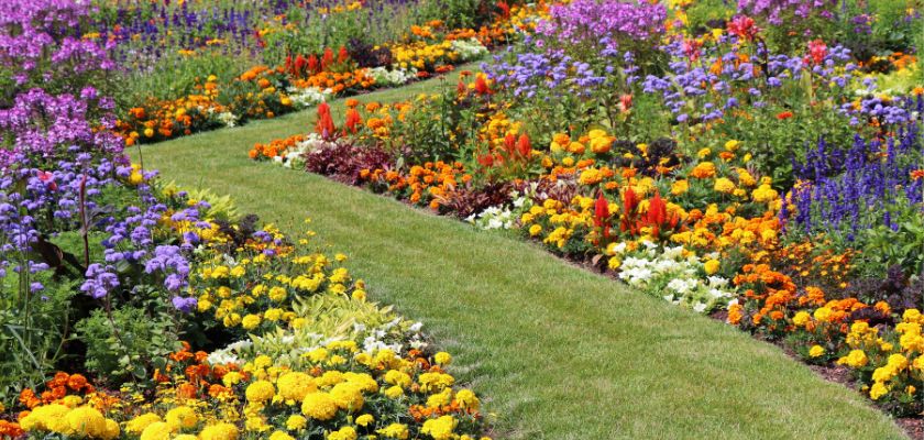 Understanding Color Theory in Landscaping