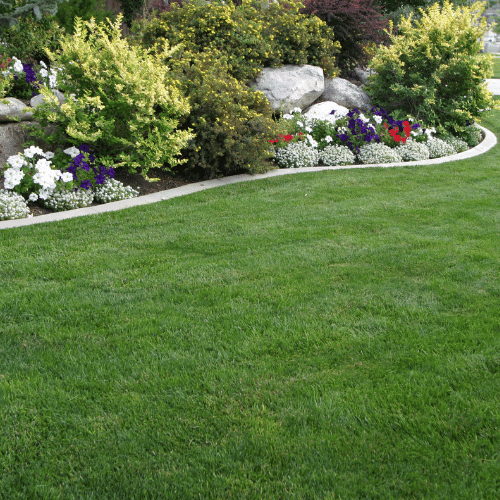 Landscaping Big A Landscaping