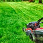 When Should You Stop Mowing Your Lawn Before Winter